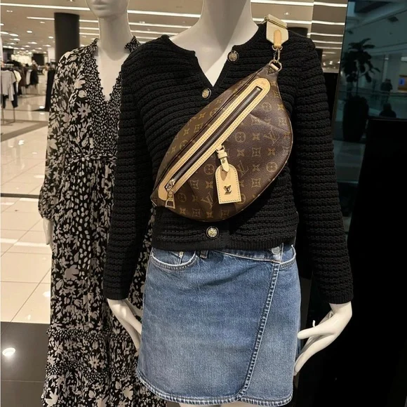 Louis Vuitton High Rise Bumbag - Picture 6 of 13